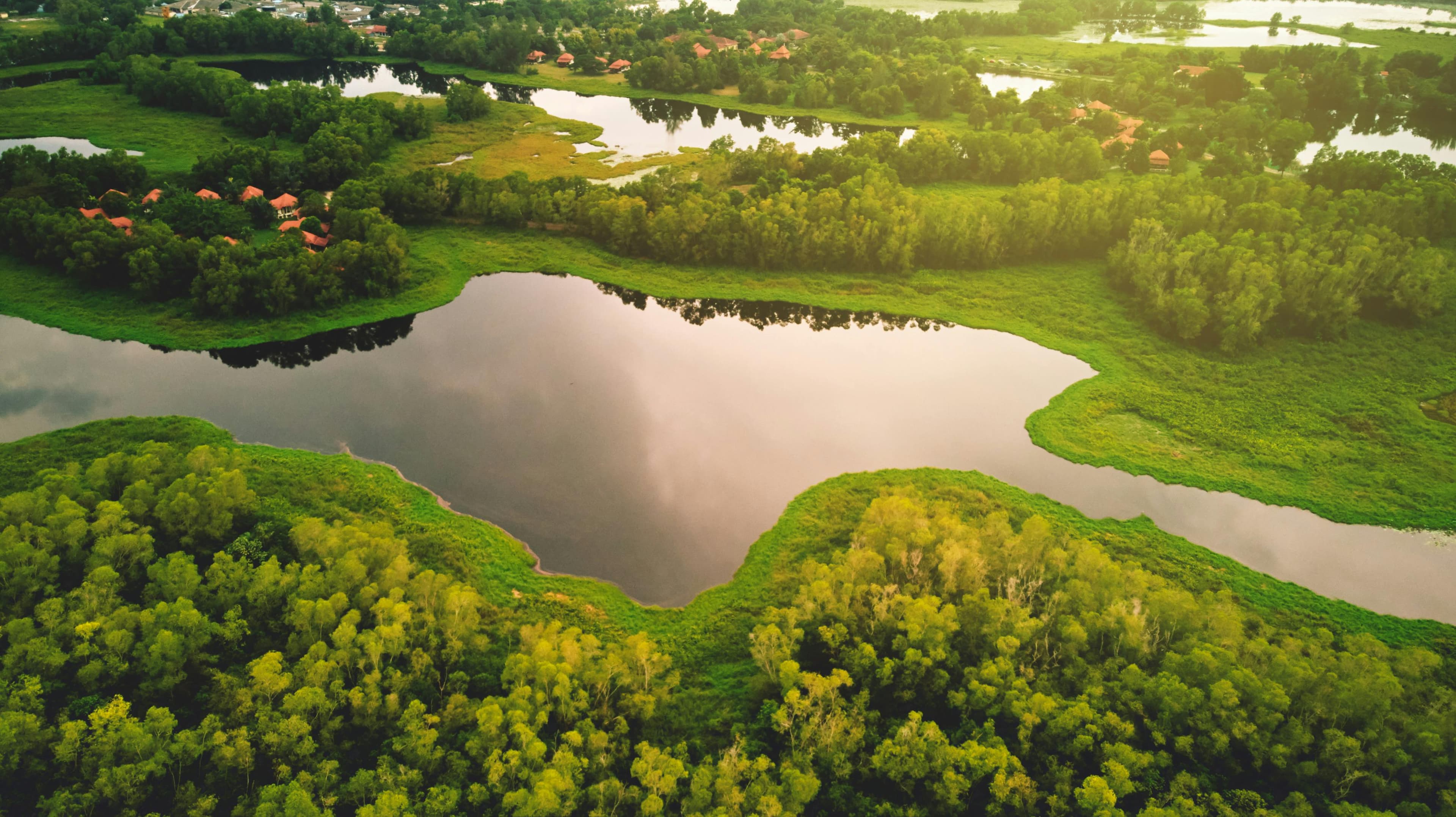 A lush green landscape with a body of water, representing environmental themes.